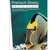  Epson Premium Glossy Photo A4 297210 , 255 /2, 20  