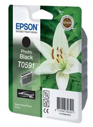  Epson T0591  Stylus Photo R2400  (13 ., 440 .)