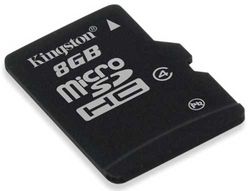 a  8Gb Kingston microSDHC (Class 4) Card w/o adapter
