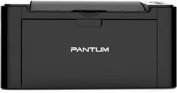   Pantum P2207 (4, 20 /, 1200 X 1200 dpi, 64 RAM,  150 , USB,  )